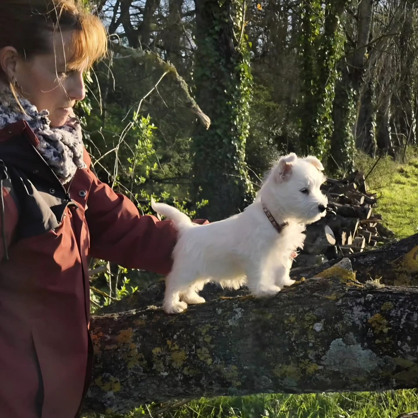 Un bébé Disponible!